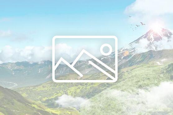 软文广告经典案例300（软文广告经典案例300类别）