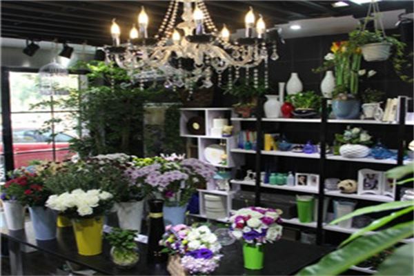 爱上浪漫花卉加盟 爱上浪漫花卉加盟