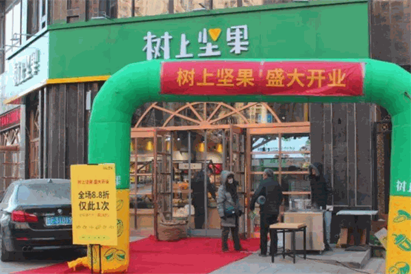 树上坚果 树上坚果