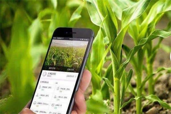 云农场服务站 云农场服务站