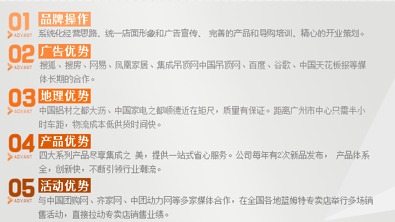 蓝姆特吊顶 蓝姆特吊顶