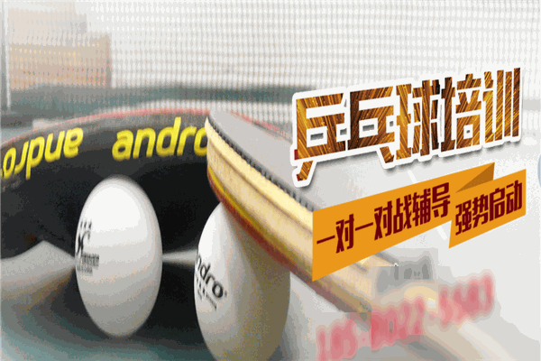春韵乒乓球培训班