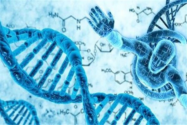 华生基因检测加盟