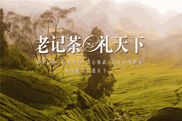 老记大红袍茶叶