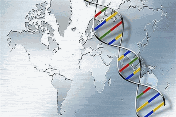 爱贝基因检测加盟