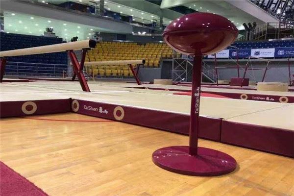 泰山体育 泰山体育