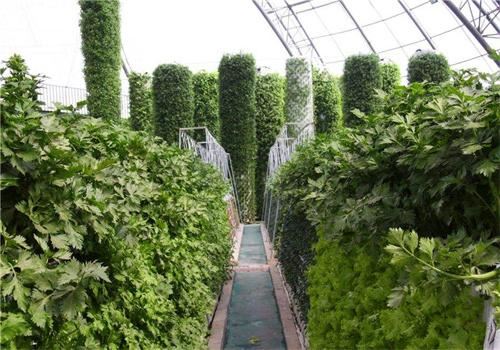 上谷农业科技 上谷农业科技