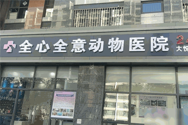 全心全意连锁动物医院
