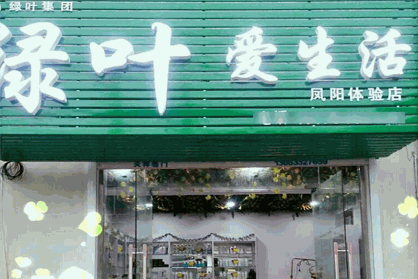 绿叶爱生活的日用品 绿叶爱生活的日用品