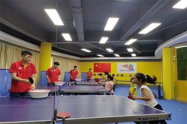 乐旋乒乓球 乐旋乒乓球