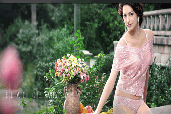 迪娜内衣 迪娜内衣