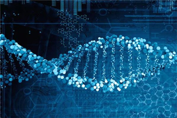 中康耀腾基因检测加盟 中康耀腾基因检测加盟