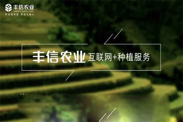 丰信农业 丰信农业