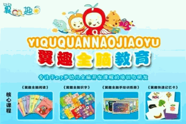 翼趣全脑 翼趣全脑