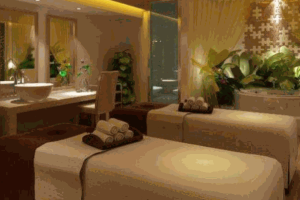 美家臣美容 美家臣美容