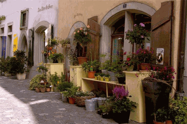 小花农家庭园艺 小花农家庭园艺