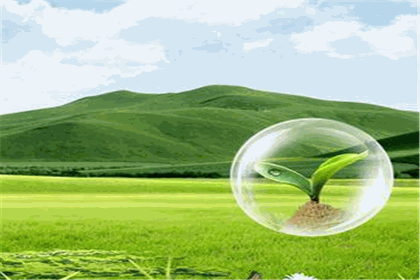 绿之蓝除甲醛加盟 绿之蓝除甲醛加盟