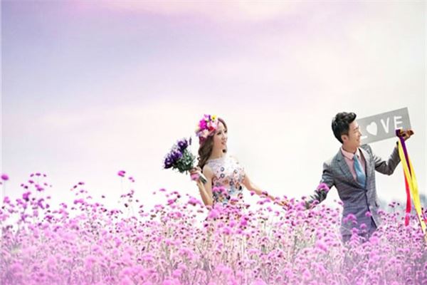 金凤凰婚介加盟 金凤凰婚介加盟