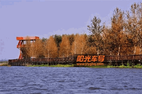 阳光车导 阳光车导