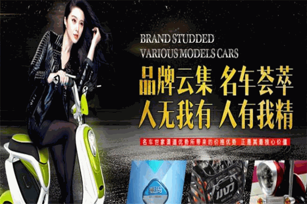 名车世家电动车