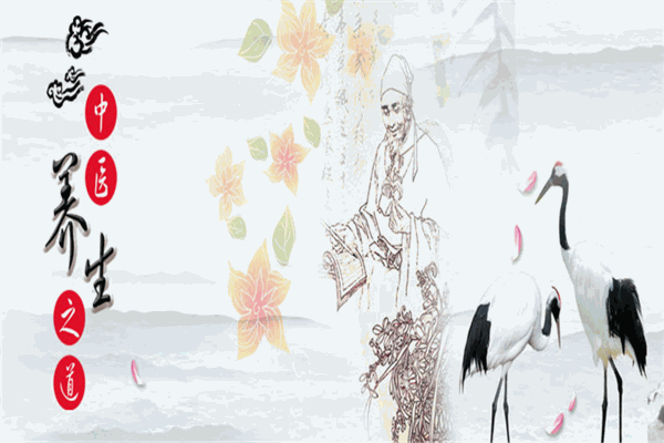 宋太医小儿推拿