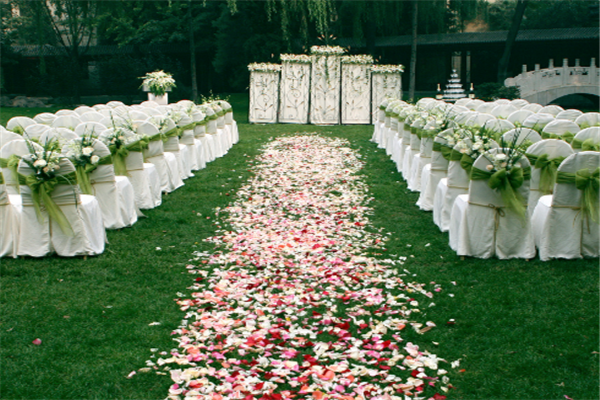 小蜜蜂婚恋网加盟