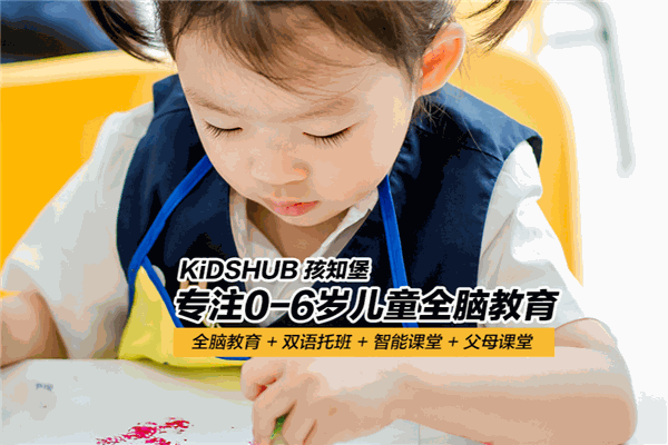 KiDSHUB孩知堡儿童成长中心 KiDSHUB孩知堡儿童成长中心