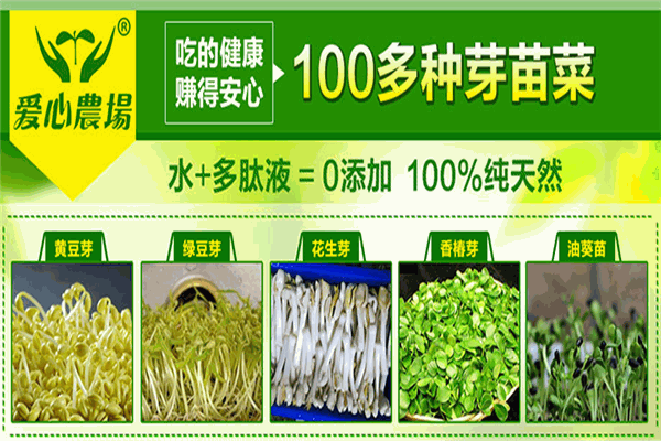 爱心农场芽苗菜 爱心农场芽苗菜