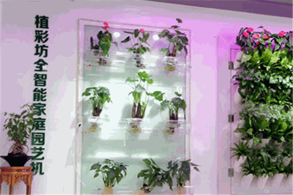 植彩坊园艺加盟 植彩坊园艺加盟