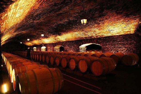 摩拉维亚帕西菲酒庄 摩拉维亚帕西菲酒庄