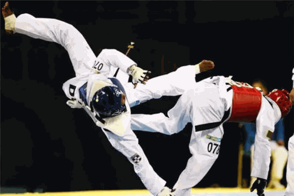 龙武国际跆拳道