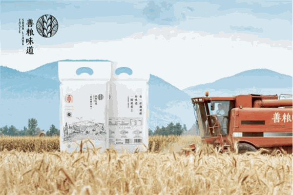 善粮味道 善粮味道