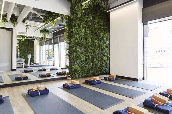 金蝉瑜伽馆加盟