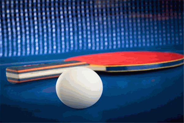星康乒乓球 星康乒乓球