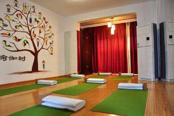 金婵瑜伽加盟 金婵瑜伽加盟