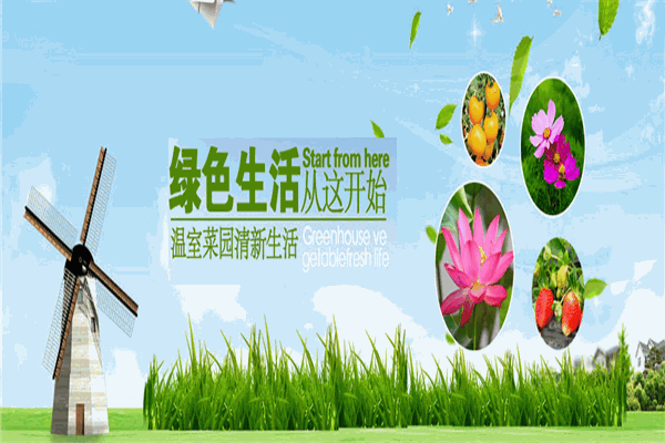 青禾农业 青禾农业