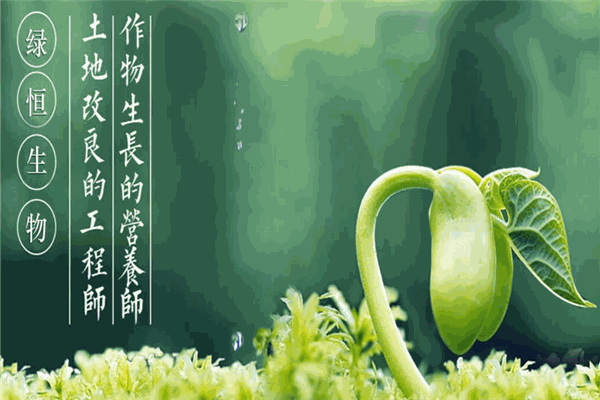 绿恒农业 绿恒农业