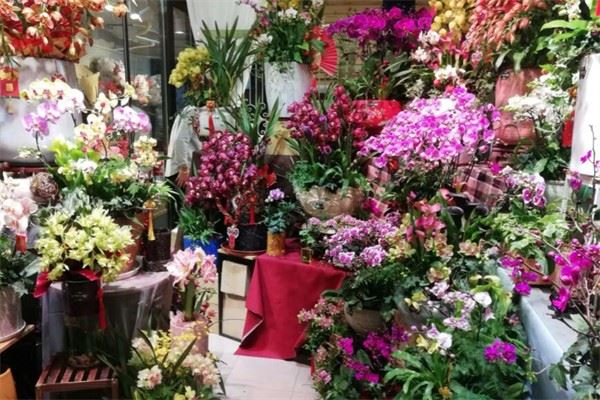 沙井鲜花 沙井鲜花