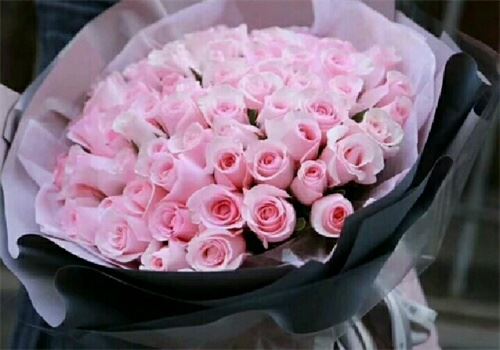 天天鲜花批发 天天鲜花批发