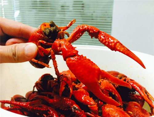 横天下大闸蟹龙虾