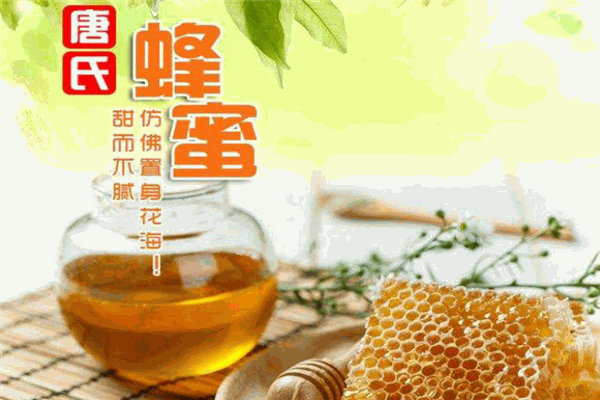 唐氏蜂业 唐氏蜂业