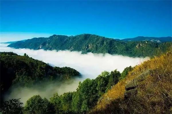 民丰旅游加盟 民丰旅游加盟