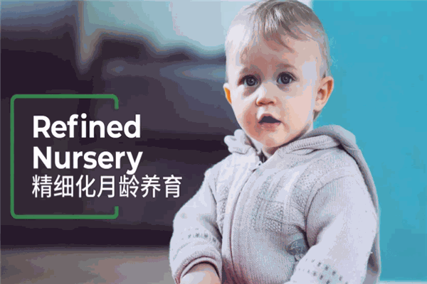 嗨德福德国际儿童成长中心 嗨德福德国际儿童成长中心