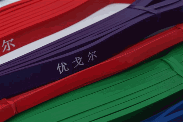 优戈尔体育 优戈尔体育