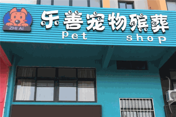 乐善宠物善终服务 乐善宠物善终服务