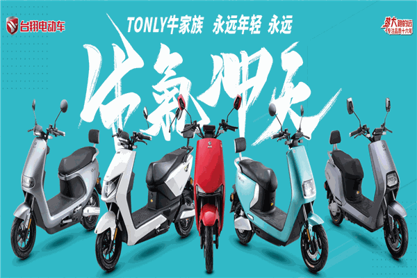 台翔电动车