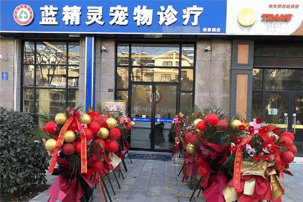 蓝精灵宠物医院 蓝精灵宠物医院