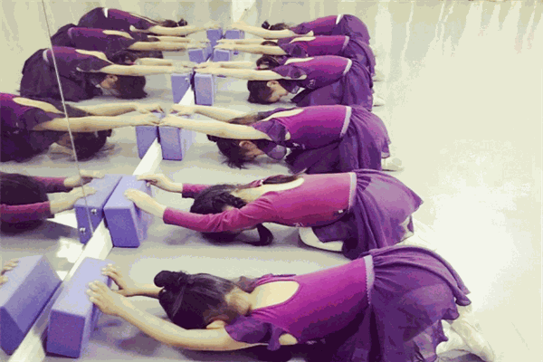 乐尚舞蹈培训 乐尚舞蹈培训