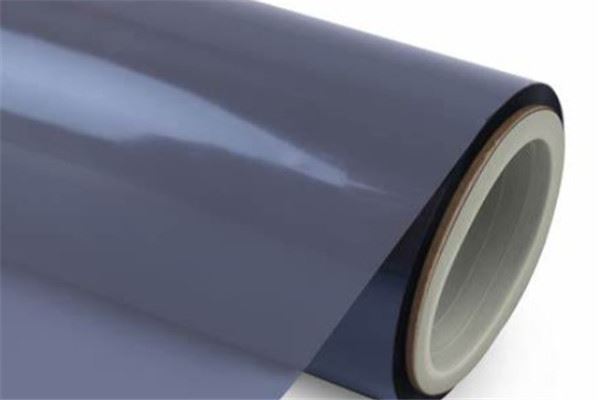 西北膜王 西北膜王