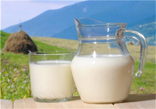 康羊食品 康羊食品